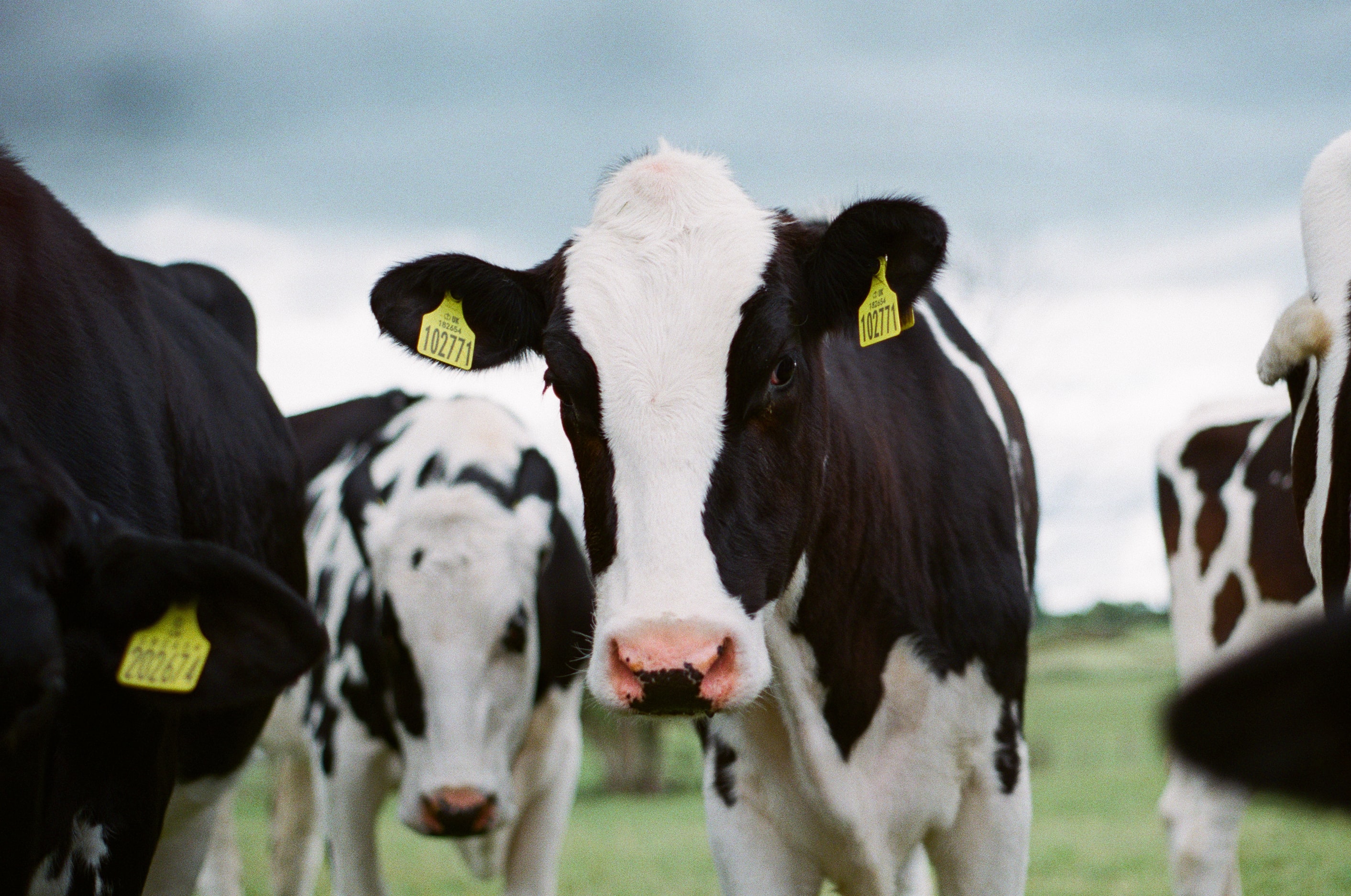 You care about the Provenance of your food
